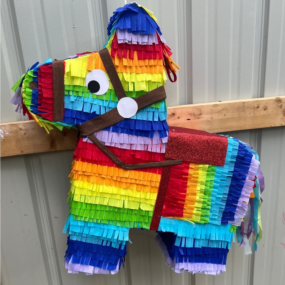 Colorful Donkey Pinata for Kids